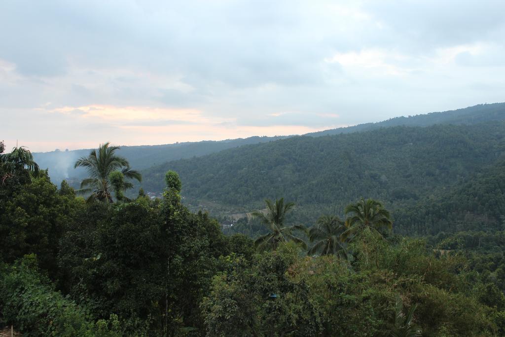 Maliana Homestay Munduk Dış mekan fotoğraf